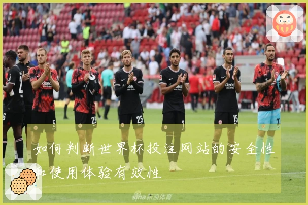 如何判断世界杯投注网站的安全性和使用体验有效性