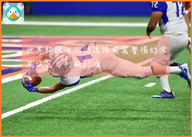 世界杯投注网站选择前需警惕的常见误区与判断标准