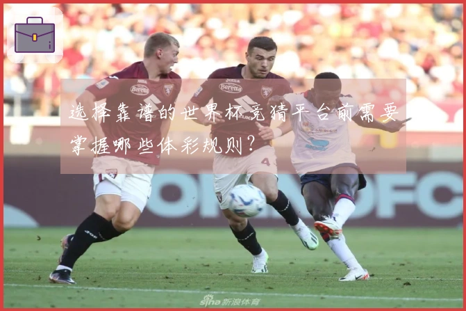 选择靠谱的世界杯竞猜平台前需要掌握哪些体彩规则？