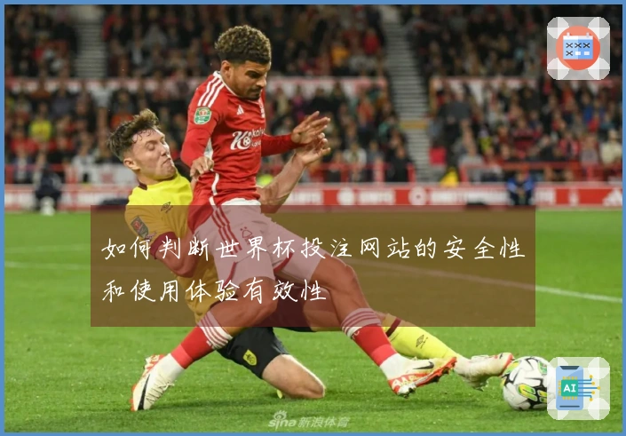 如何判断世界杯投注网站的安全性和使用体验有效性