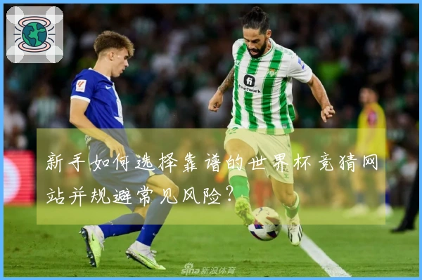 新手如何选择靠谱的世界杯竞猜网站并规避常见风险？