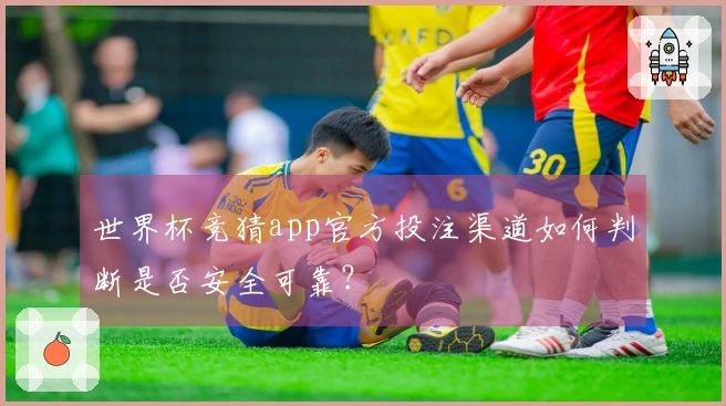 世界杯竞猜app官方投注渠道如何判断是否安全可靠？