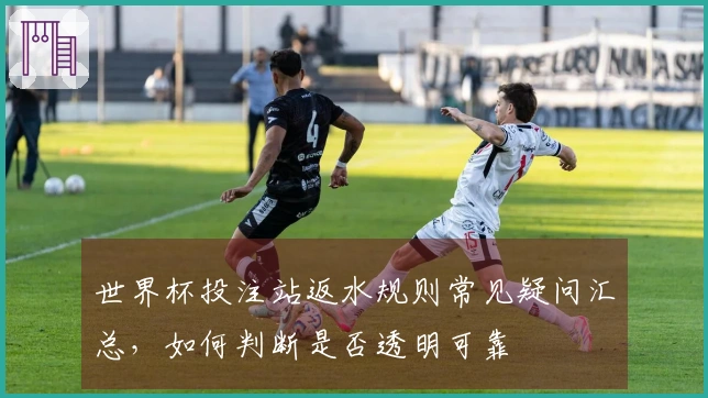 世界杯投注站返水规则常见疑问汇总，如何判断是否透明可靠