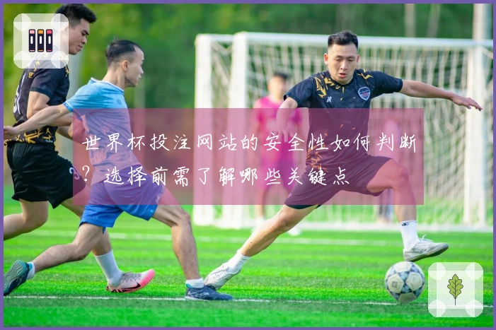 世界杯投注网站的安全性如何判断？选择前需了解哪些关键点