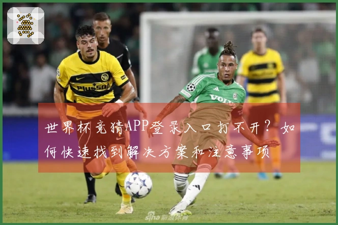 世界杯竞猜APP登录入口打不开？如何快速找到解决方案和注意事项