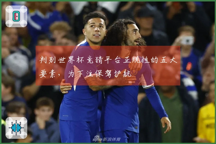 判别世界杯竞猜平台正规性的五大要素，为下注保驾护航