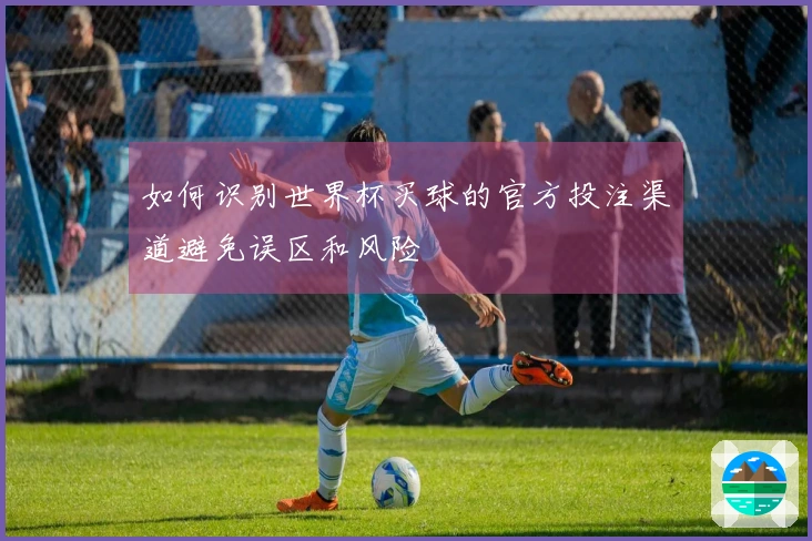 如何识别世界杯买球的官方投注渠道避免误区和风险