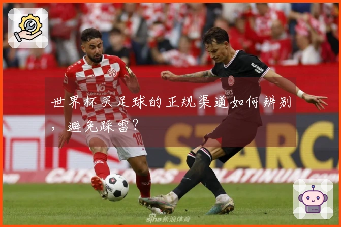 世界杯买足球的正规渠道如何辨别，避免踩雷？