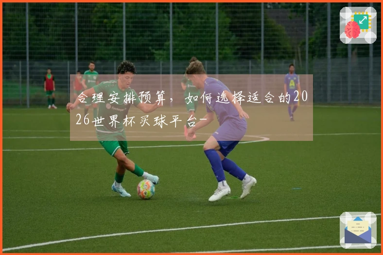 合理安排预算，如何选择适合的2026世界杯买球平台-