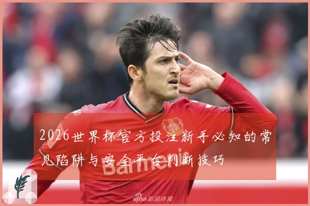 2026世界杯官方投注新手必知的常见陷阱与安全平台判断技巧