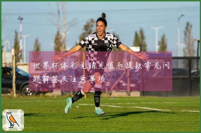 世界杯体彩竞猜充值和提款常见问题解答及注意事项