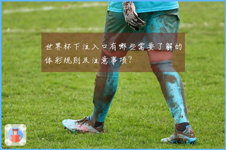 世界杯下注入口有哪些需要了解的体彩规则及注意事项？