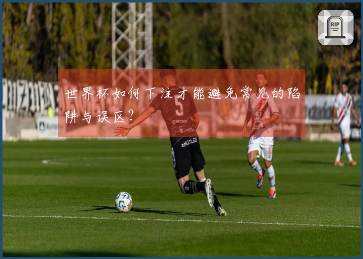 世界杯如何下注才能避免常见的陷阱与误区？