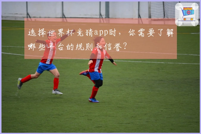 选择世界杯竞猜app时，你需要了解哪些平台的规则和信誉？