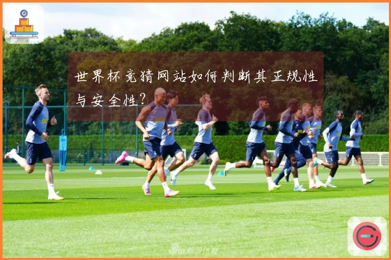 世界杯竞猜网站如何判断其正规性与安全性？
