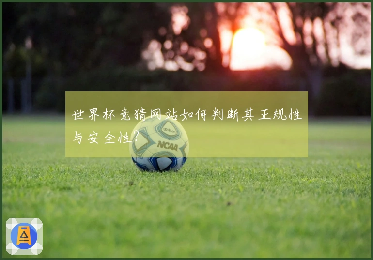 世界杯竞猜网站如何判断其正规性与安全性？