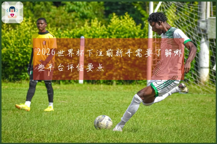 2026世界杯下注前新手需要了解哪些平台评估要点