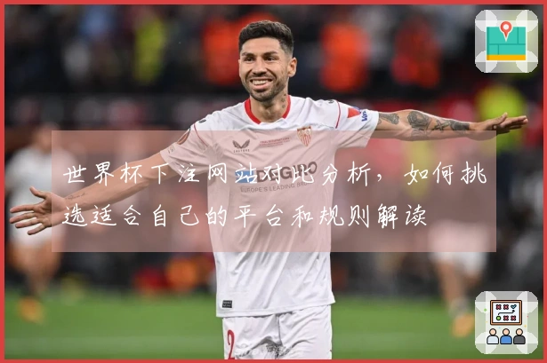 世界杯下注网站对比分析，如何挑选适合自己的平台和规则解读