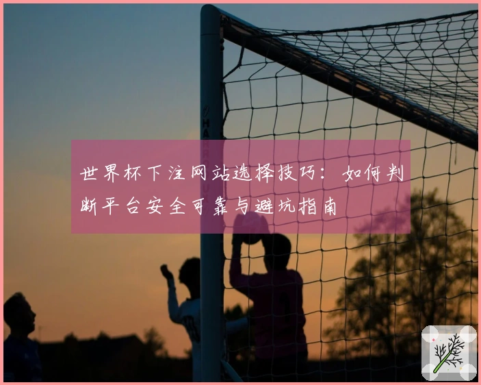 世界杯下注网站选择技巧：如何判断平台安全可靠与避坑指南