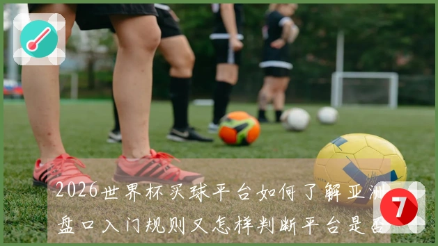 2026世界杯买球平台如何了解亚洲盘口入门规则又怎样判断平台是否靠谱