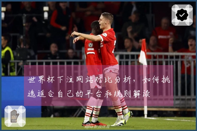 世界杯下注网站对比分析，如何挑选适合自己的平台和规则解读