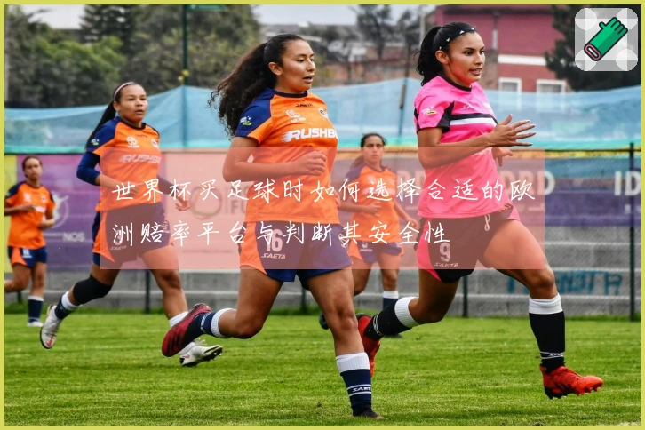 世界杯买足球时如何选择合适的欧洲赔率平台与判断其安全性