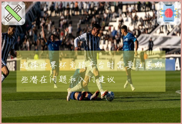 选择世界杯竞猜平台时需要注意哪些潜在问题和入门建议