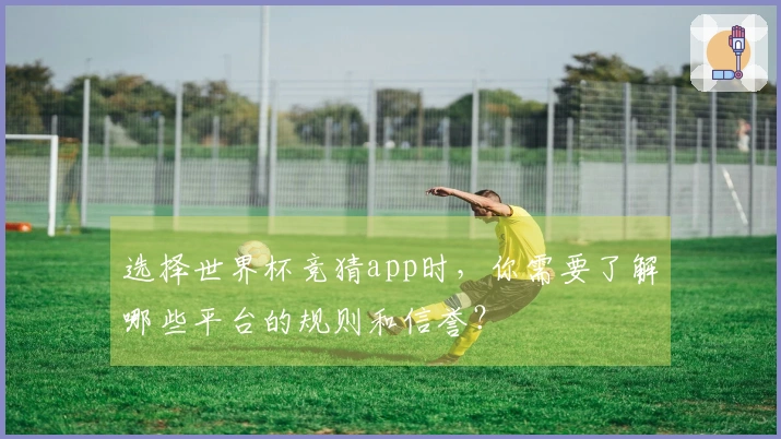 选择世界杯竞猜app时，你需要了解哪些平台的规则和信誉？