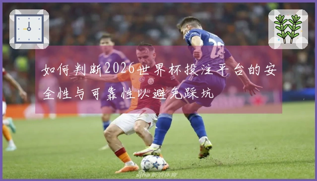 如何判断2026世界杯投注平台的安全性与可靠性以避免踩坑