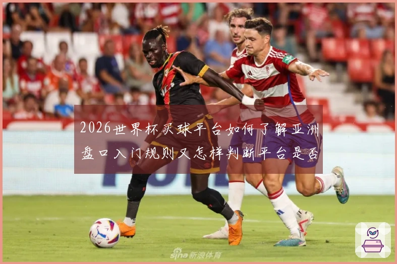 2026世界杯买球平台如何了解亚洲盘口入门规则又怎样判断平台是否靠谱